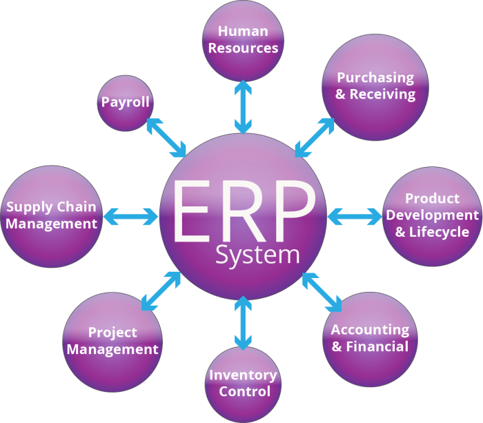 ERP software for project management