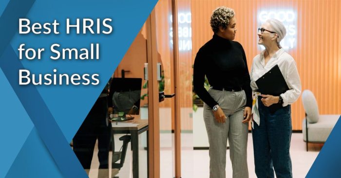 HRIS for small businesses