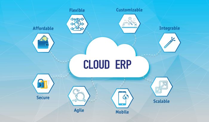 ERP software with cloud deployment