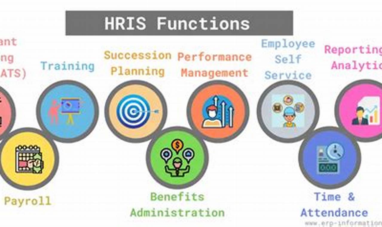 Essential ERP and HRIS for Seamless Business Management