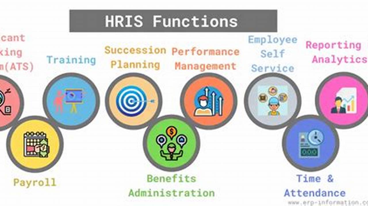 Essential ERP and HRIS for Seamless Business Management