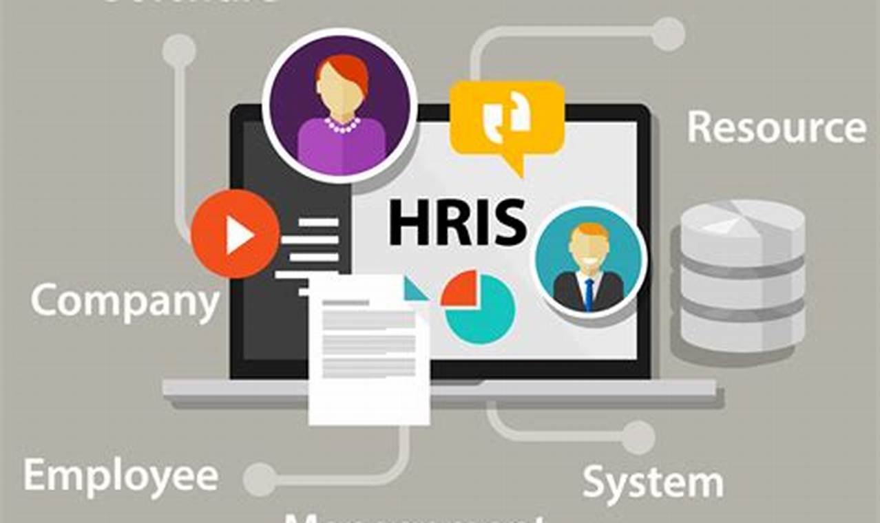 The Most Affordable HRIS Systems for Small Businesses